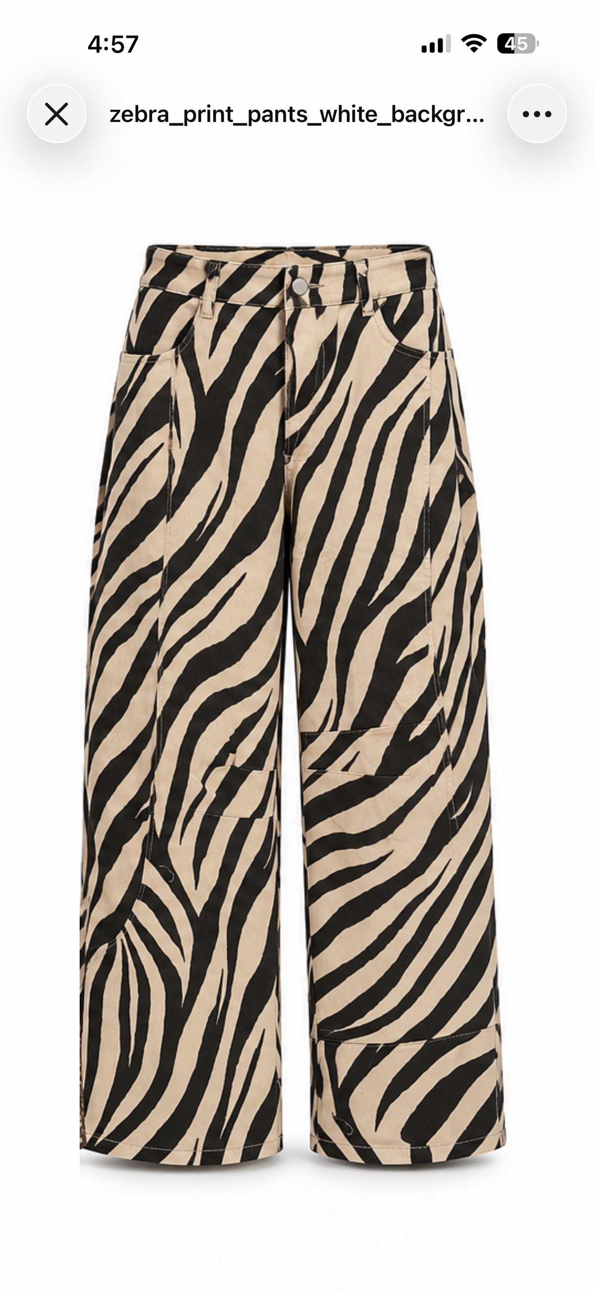 Pants Zebra print