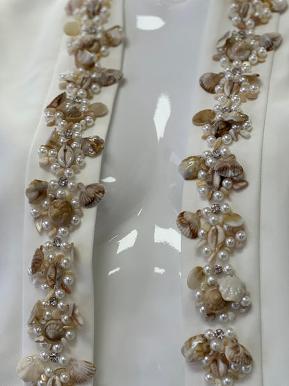 Set Seashells