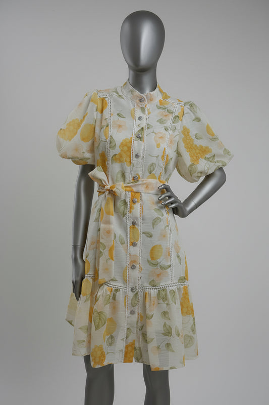 Dress Lemons