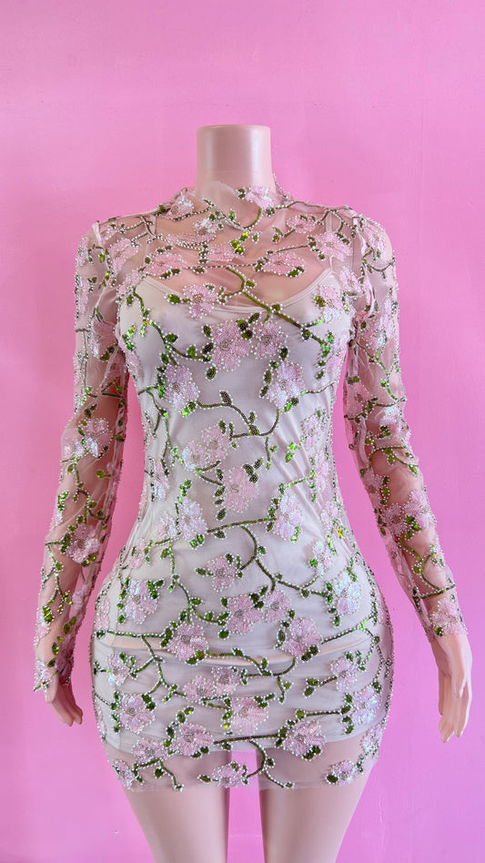 Dress Fairy